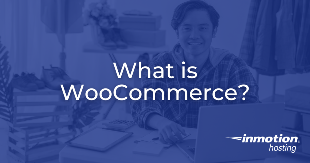 What is WooCommerce? Hero Image